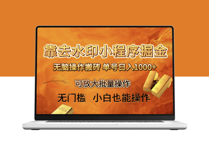 去水印小程序与拼多多搬砖项目_日入千元_保姆级教程_可放大批量操作-资源网站