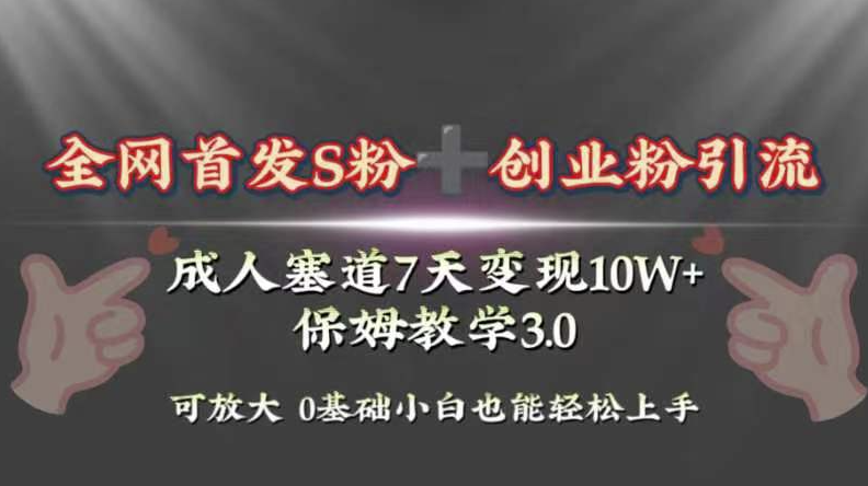 图片[1]-全网首发s粉加创业粉引流变现_利用成人用品赛道7天变现10w+保姆教学-资源网站