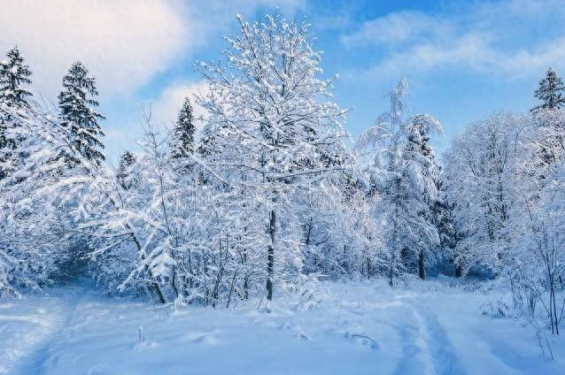 三亚之冬_竟败给了哈尔滨的冰雪魅力-资源网站