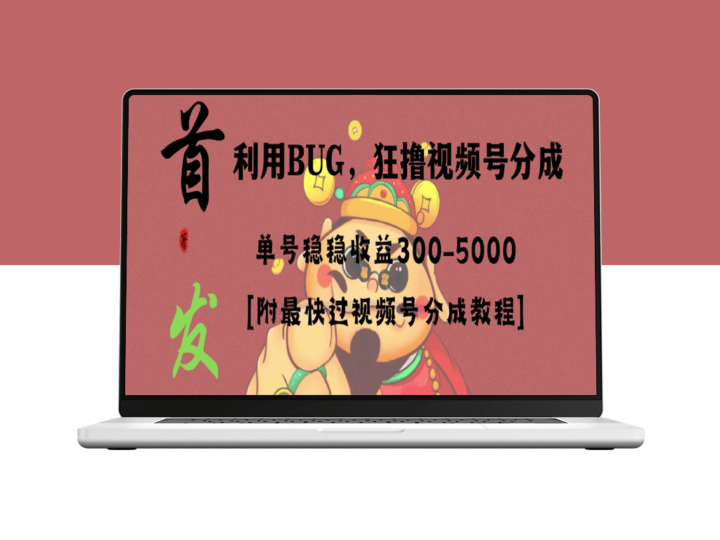 全网独家首发_视频号BUG项目_单号每日净收益300-5000！-资源网站