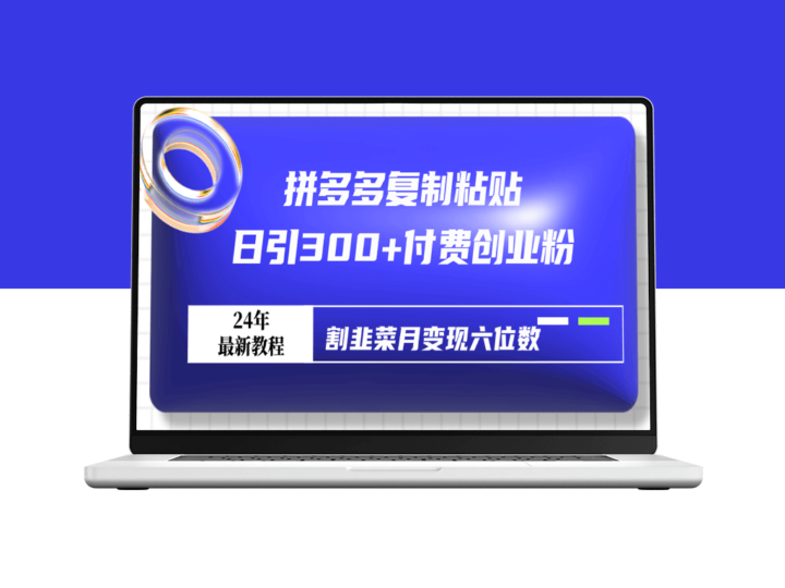 拼多多复制粘贴日引300+付费创业粉-资源网站