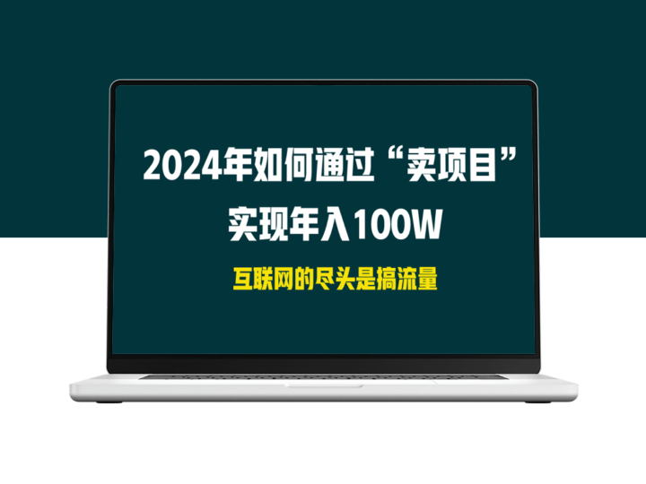 2024年实现年入100W的“卖项目”方法-资源网站