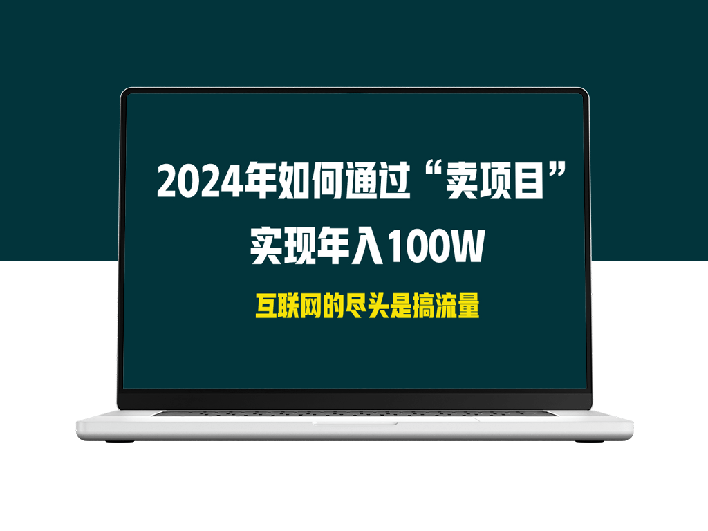 2024年实现年入100W的“卖项目”方法-资源网站