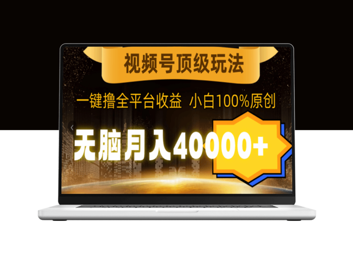 视频号运营：月赚40000+_全平台收益一键通-资源网站