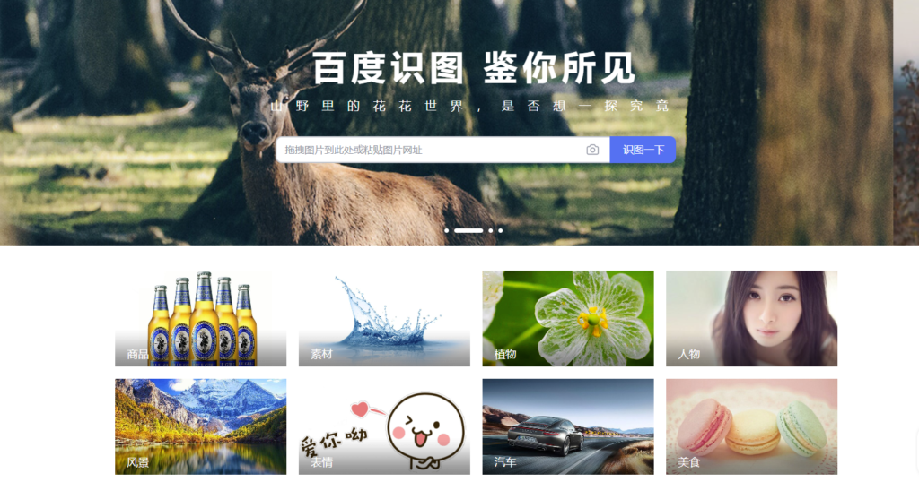 图片[6]-一网打尽！全面汇总热门搜索引擎网站_助你轻松畅游信息海洋