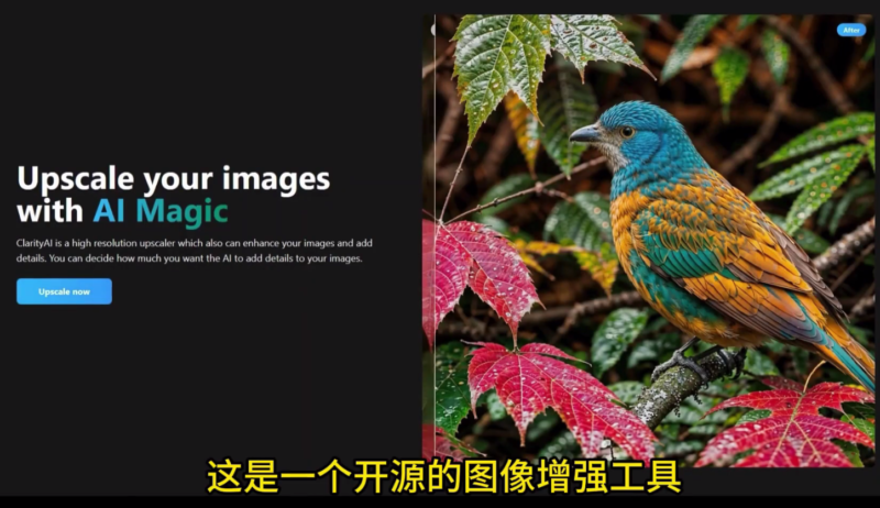 Clarity Upscaler-开源AI工具_无损提升图片分辨率-资源网站