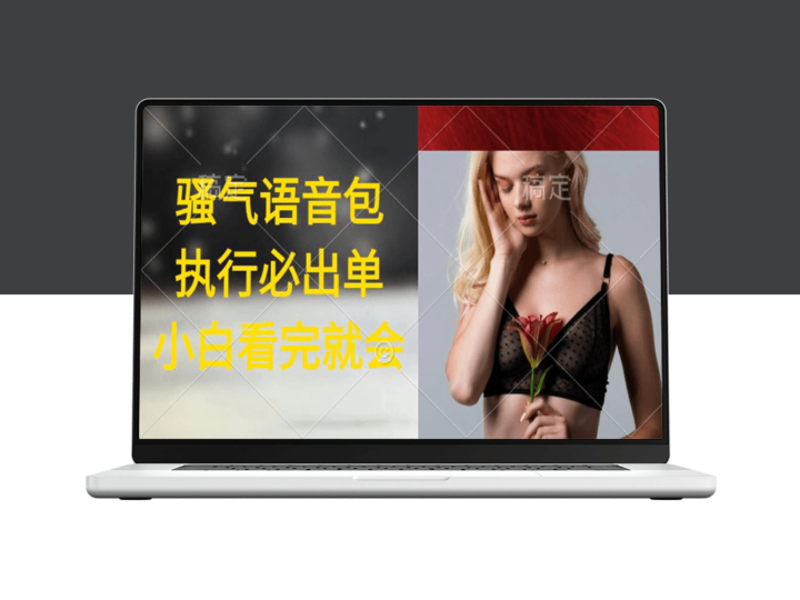 超火骚气语音包_实操教程_日入2000+执行即出单-资源网站