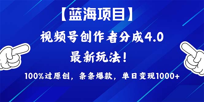 图片[1]-2024蓝海项目视频号_最新方法_100%过原创-资源网站