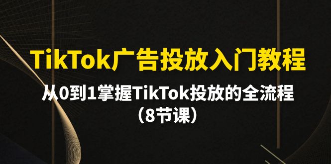 图片[1]-TikTok广告投放实战指南：零基础到精通全流程-资源网站