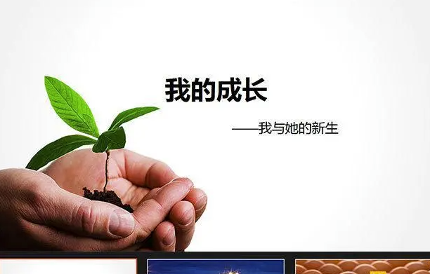 社交媒体与现实：我们对成功的误解-资源网站