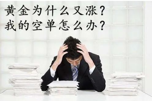 为什么我敢说黄金还会涨？-资源网站