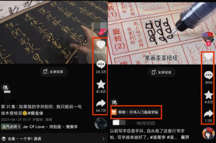 会写字就可以变现的冷门项目，手写字帖变现操作简单！-资源网站