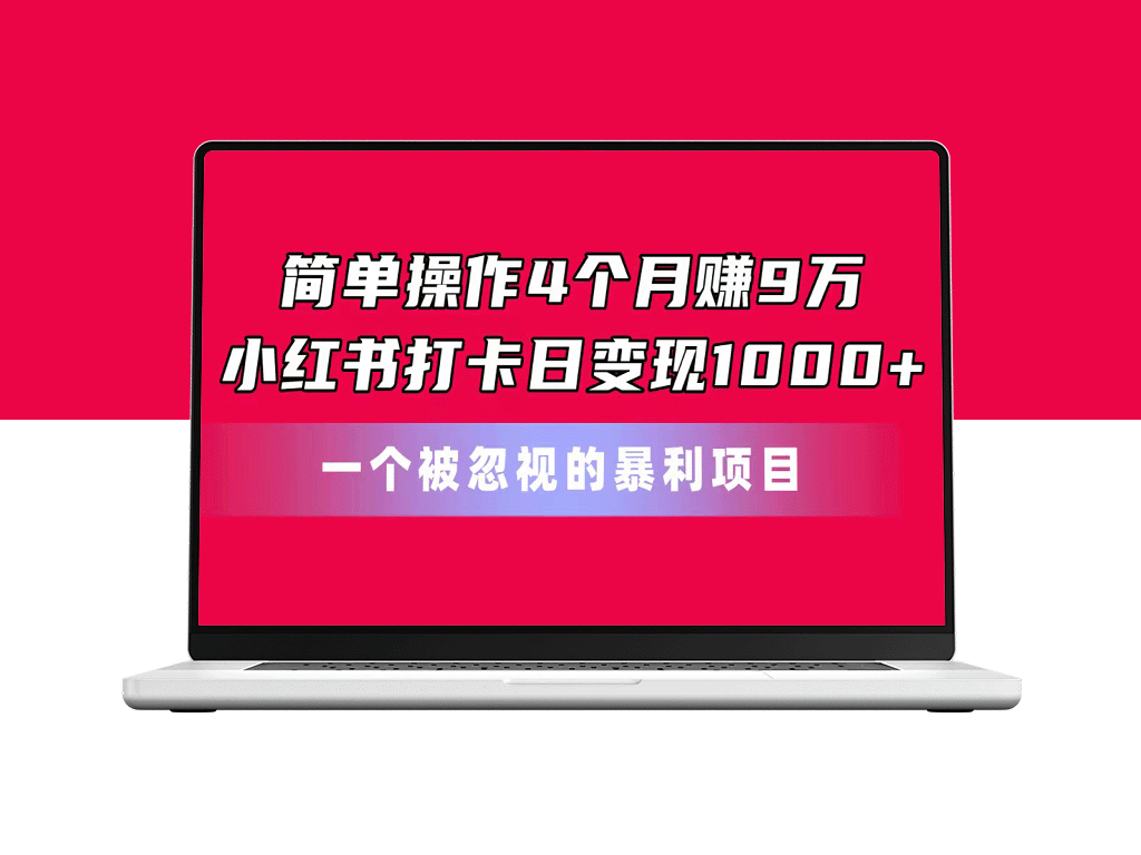 小红书打卡日变现暴利项目_4个月赚取9万收入-资源网站