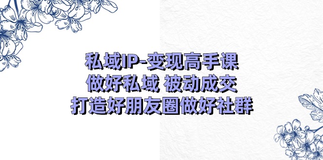 图片[1]-私域IP变现：朋友圈销售与社群运营全攻略-资源网站
