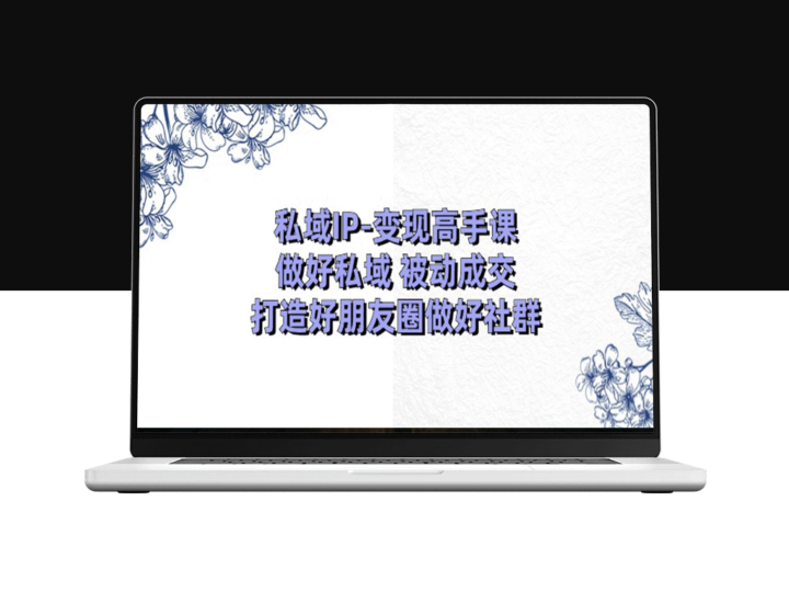 私域IP变现：朋友圈销售与社群运营全攻略-资源网站