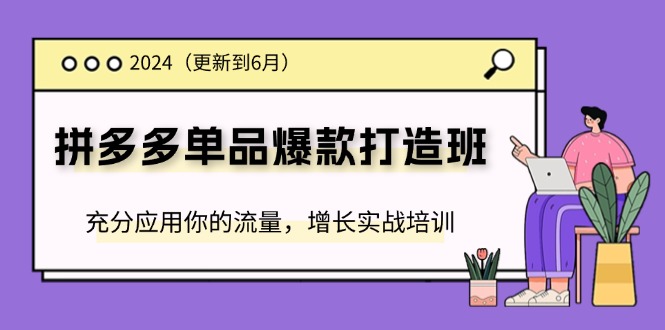 图片[1]-2024最新拼多多单品爆款打造班：流量运用与实战增长全攻略-资源网站