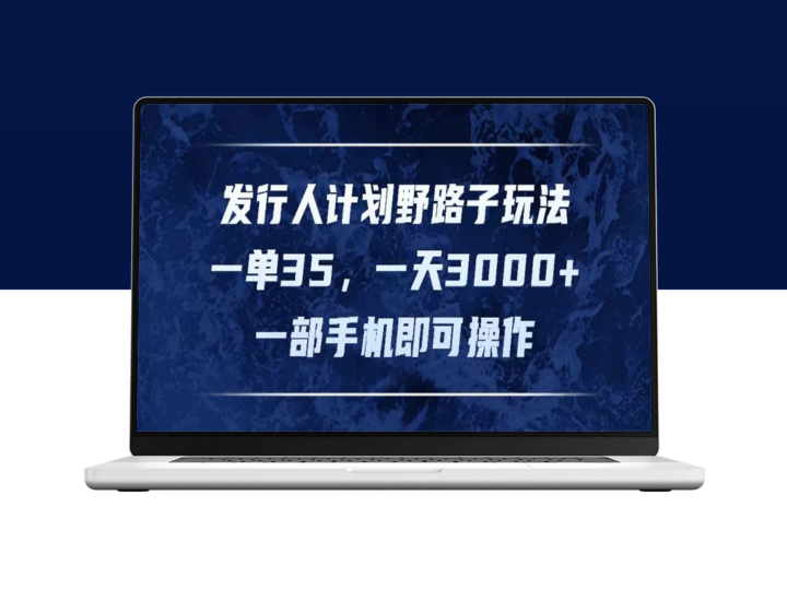 发行人计划：野路子赚钱新方式_一单35_每日赚3000+-资源网站