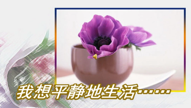 如何真正放下烦恼，享受平静生活-资源网站