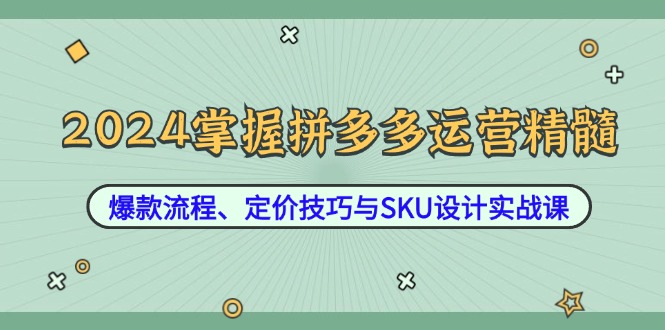 图片[1]-2024年拼多多运营秘籍：打造爆款、精准定价与SKU设计实战指南