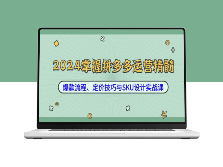 2024年拼多多运营秘籍：打造爆款、精准定价与SKU设计实战指南-资源网站