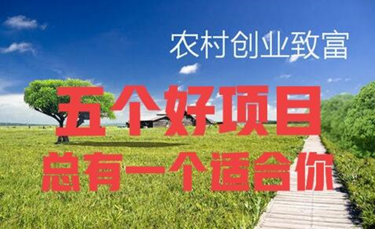 图片[1]-农村赚钱好项目有哪些（五个农村致富好项目）