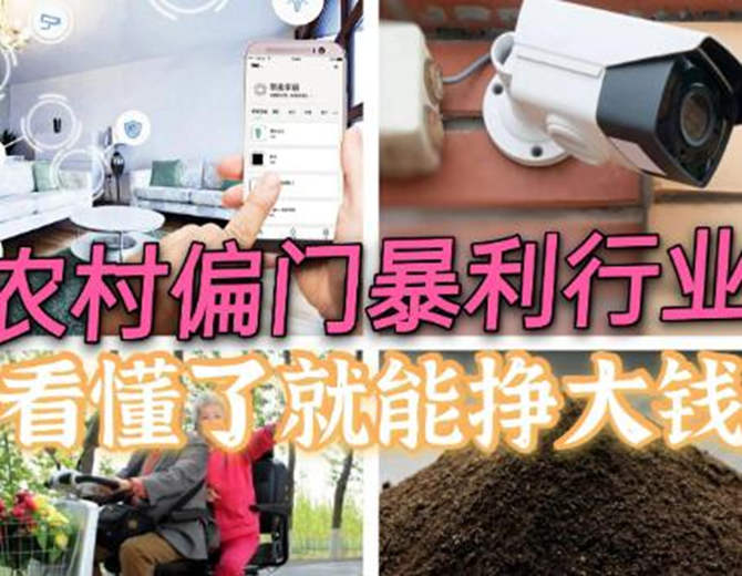 图片[1]-农村最新暴利赚钱点子，比较偏门但是挣钱的行业