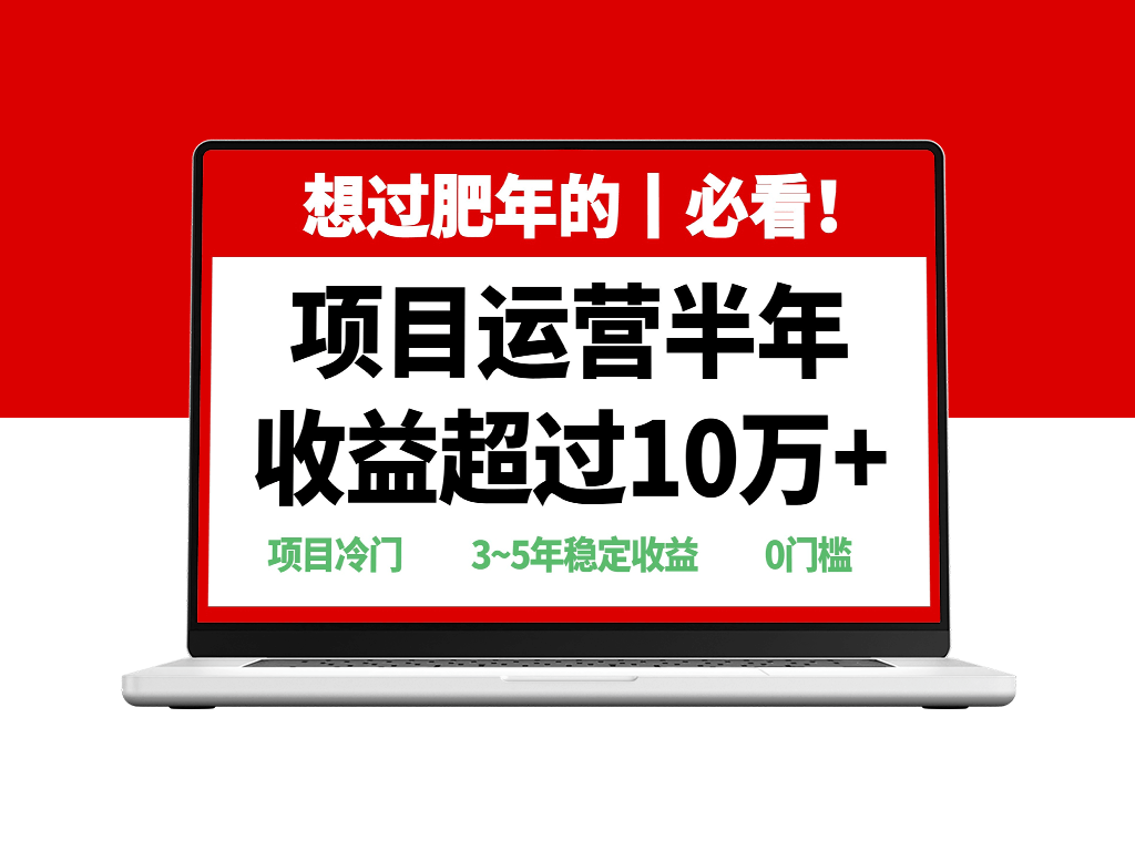 春节前必看_赚10万+的超冷门赚钱项目-资源网站