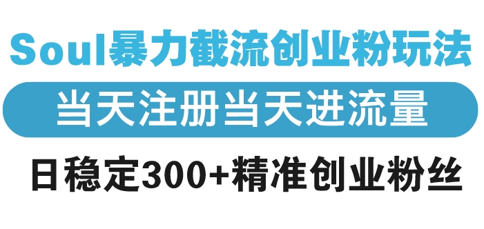 图片[1]-Soul暴力截流_极速引流_日均精准创业粉丝300+-资源网站