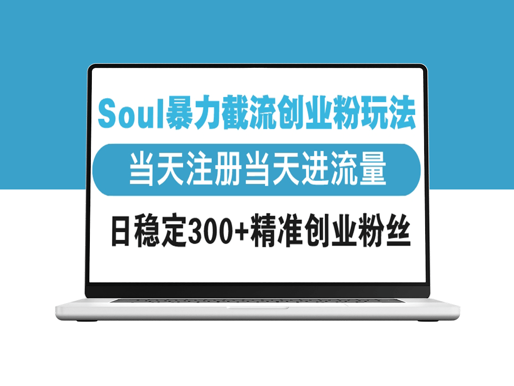 Soul暴力截流_极速引流_日均精准创业粉丝300+-资源网站