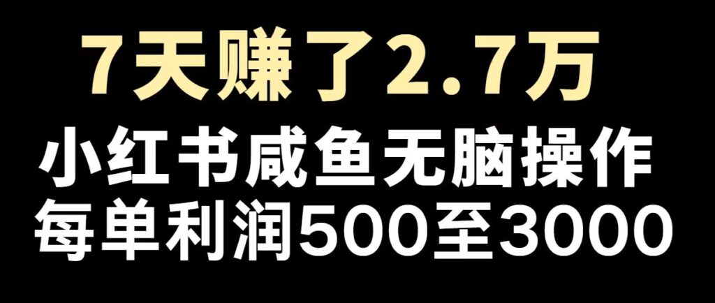 图片[1]-2025年最具潜力项目_逆势崛起_赚取百万