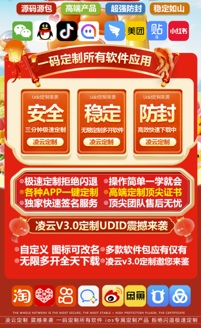 图片[2]-一键批量多开_无限可能_凌云定制V3.0全网首发