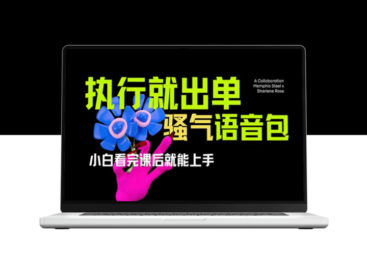 全网热推_开车导航骚气语音包火爆上线_零基础教程助你快速实操-资源网站