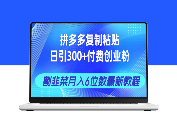 拼多多复制粘贴法引爆300+付费创业粉_月入6位数的割韭菜教程-资源网站