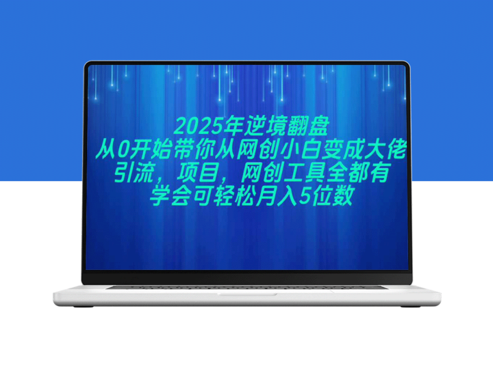 2025网创逆袭指南：零基础30天速成大佬_掌握引流_变现-资源网站