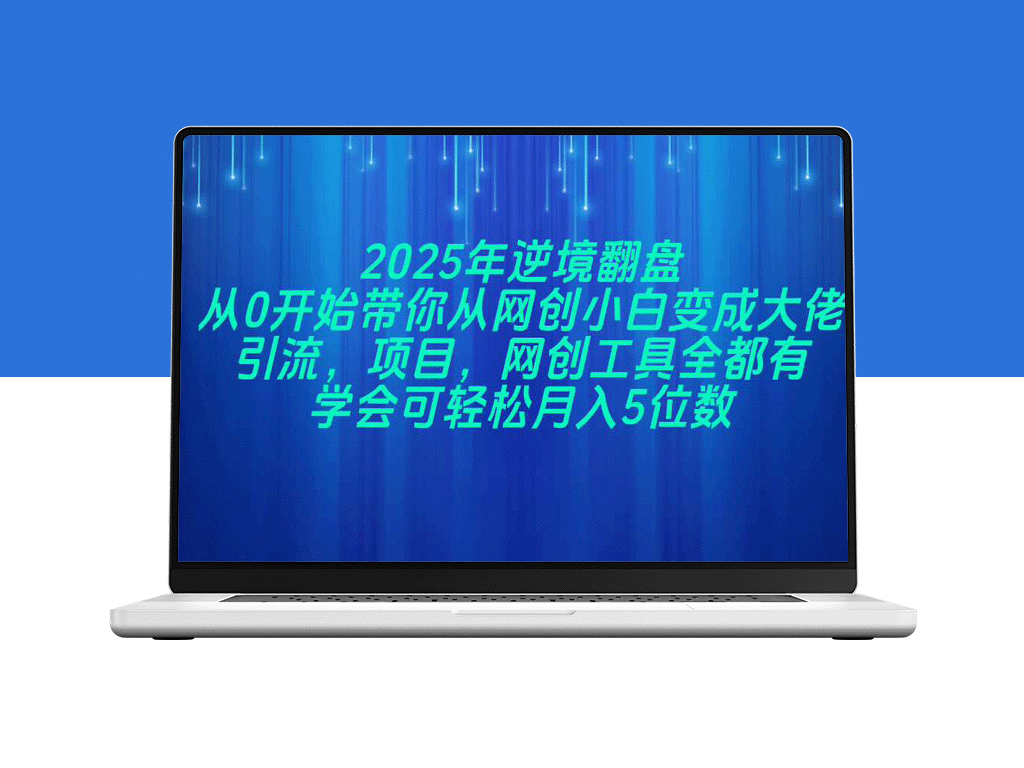 2025网创逆袭指南：零基础30天速成大佬_掌握引流_变现-资源网站