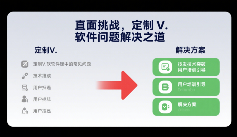 面对挑战：解决定制V软件实施过程中的问题-资源网站