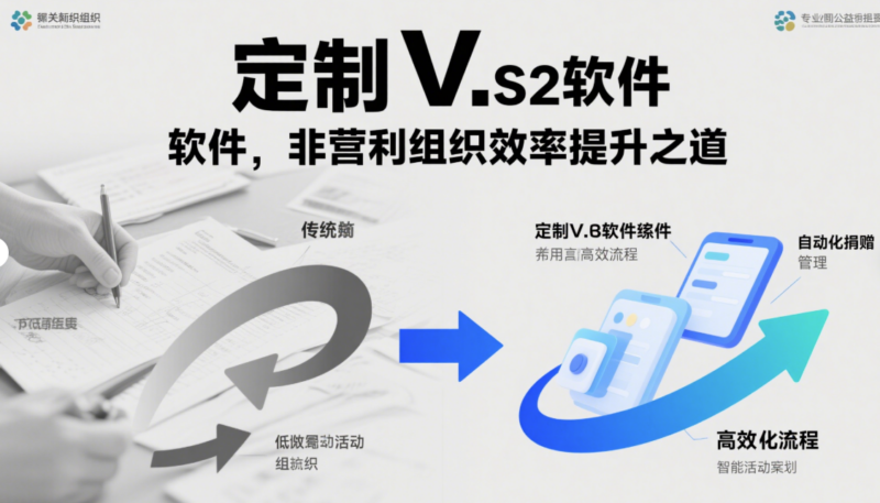 非营利组织如何通过定制V软件提高效率？-资源网站
