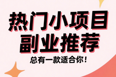 热门小项目副业推荐，总有一款适合你！-资源网站