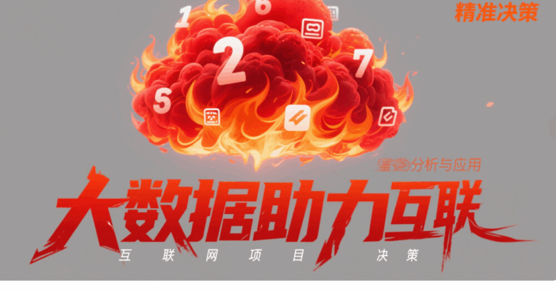 大数据助力互联网项目精准决策：案例分析与应用-资源网站