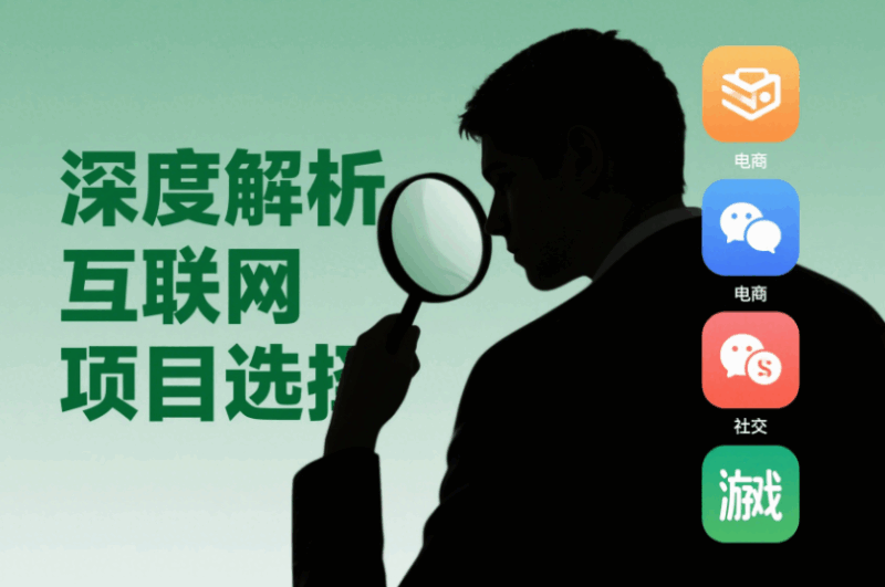 如何选择适合自己的互联网项目？深度解析与建议-资源网站