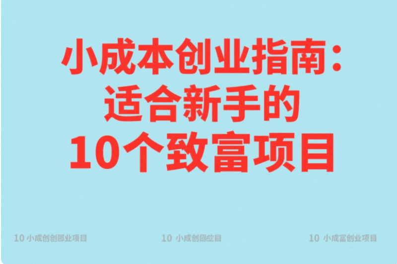 小成本创业指南：适合新手的10个致富项目-资源网站
