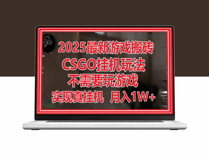 2025最新挂机赚钱攻略：CSGO挂机月入1W+_无需玩游戏_稳定收益-资源网站
