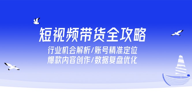 短视频带货实战秘籍：如何精准定位账号_创作爆款内容_优化数据提升销量-资源网站