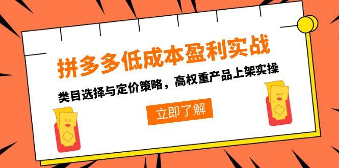 拼多多低成本盈利秘籍：类目选择与定价策略解析_高权重产品上架实战经验分享-资源网站