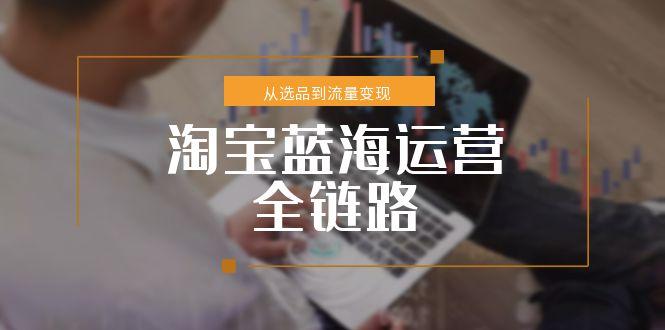 淘宝蓝海选品到流量变现_小类目突围绝对策略-资源网站