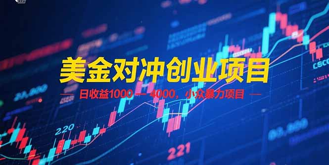 美金对冲创业项目_日收益1000-4000_潜力暴力暴利项目-资源网站