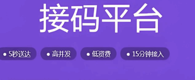 警惕！接码网使用中的潜在风险防范-资源网站