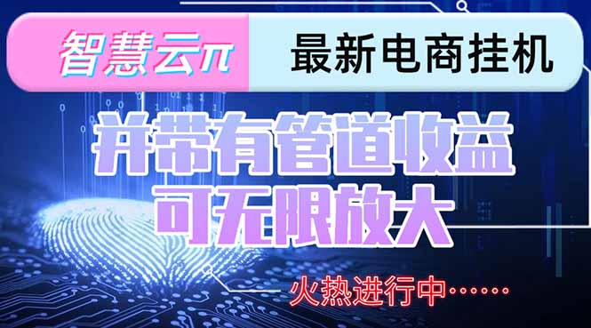 智慧云π电脑挂机单机轻松日赚300-500+_团队管道收益可无限放大_轻松赚钱秘籍-资源网站