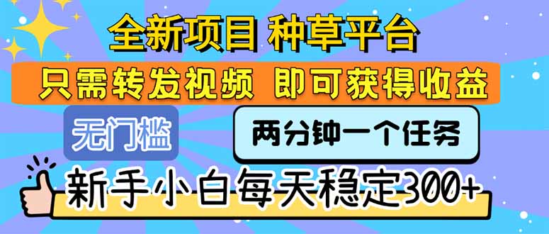全新赚钱项目_转发任务视频_新手每天赚300+_轻松入门无压力-资源网站