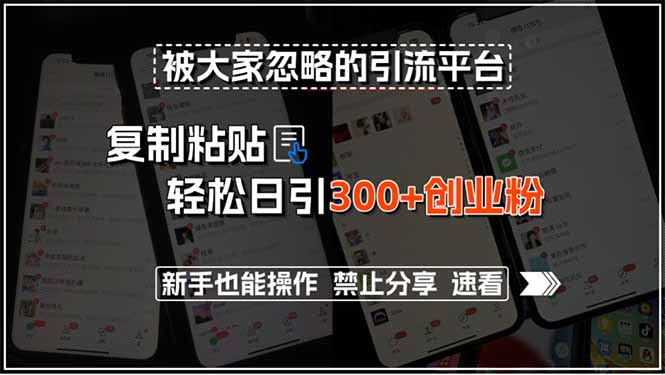 新手也能轻松引流_揭秘被忽略的引流平台_日引300+创业粉-资源网站